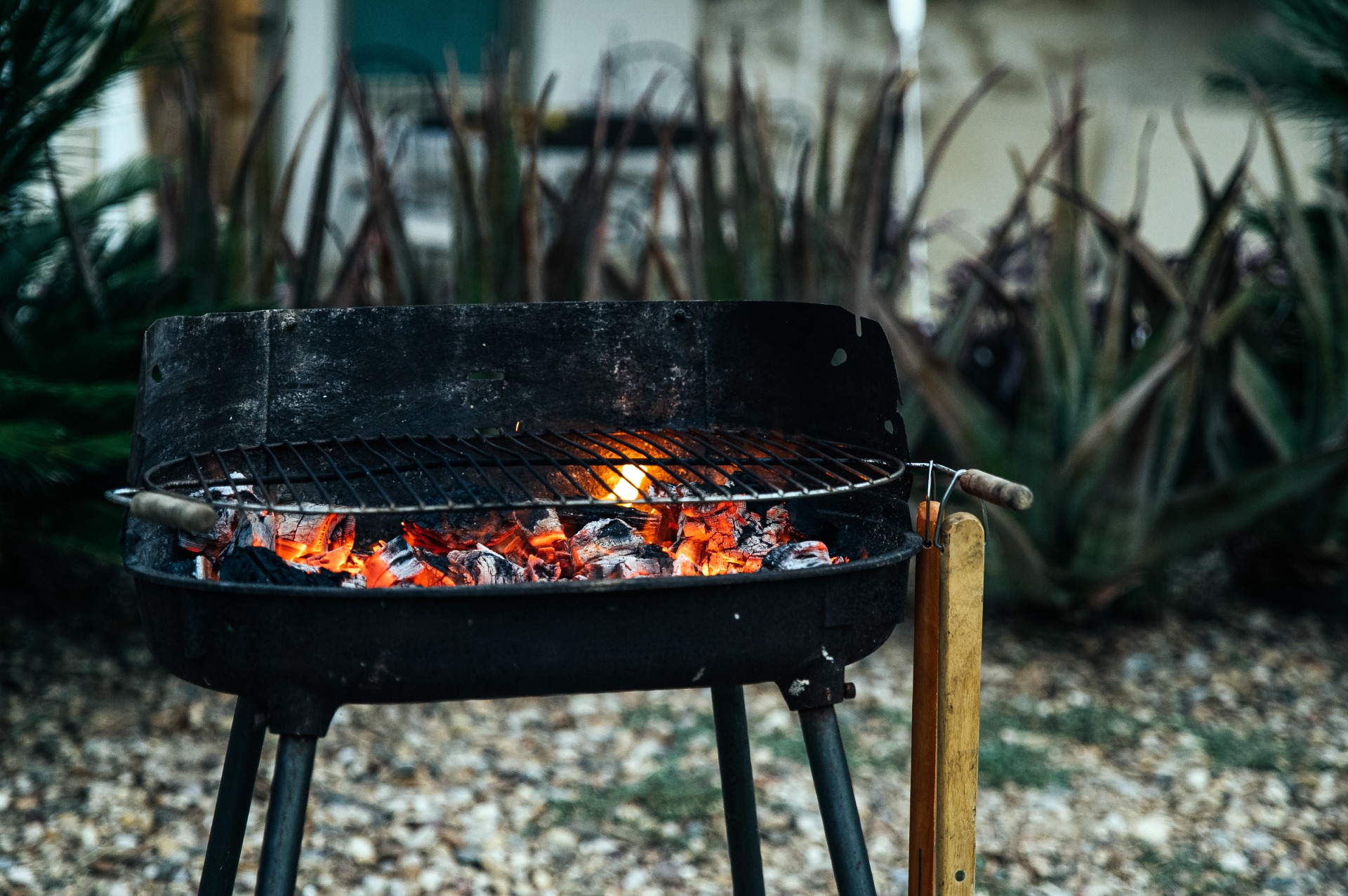 Cuisson au feu de bois : le guide complet